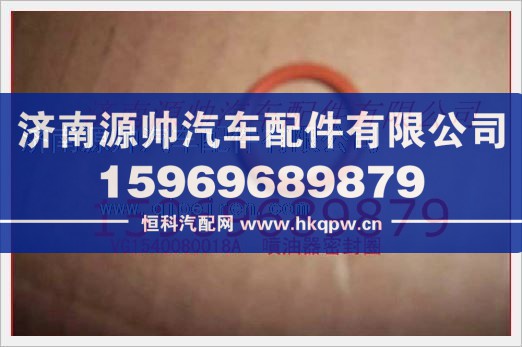 重汽发动机喷油器密封圈VG1540080018A