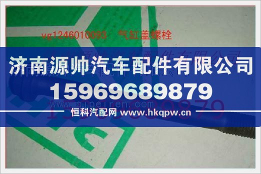 重汽发动机气缸盖螺栓VG1246010093