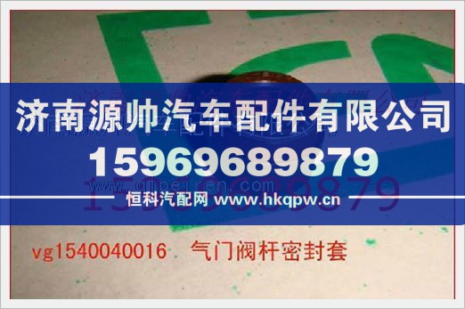 重汽发动机气门油封VG1540040016