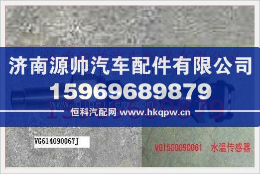 重汽发动机水温感应塞VG1500090061