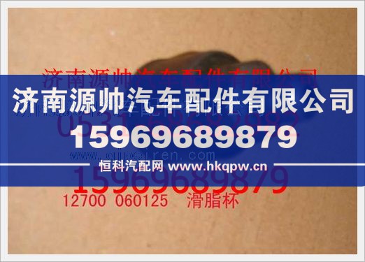 重汽豪沃滑脂杯12700 060125