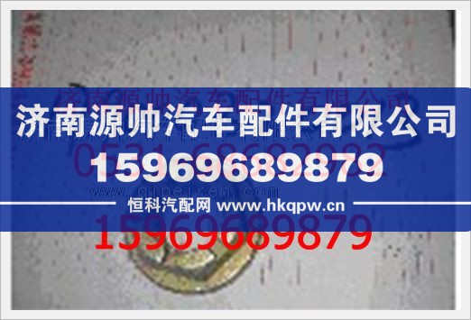 重汽豪沃凸缘螺母WG79000320013