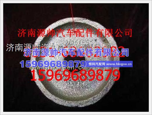 重汽豪沃右支承环WG1600430019R