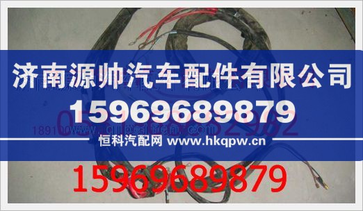 重汽豪沃发动机线束189100770095
