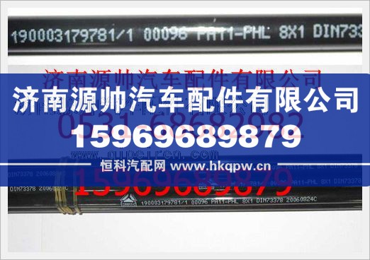 重汽豪沃聚酰胺管190003179781