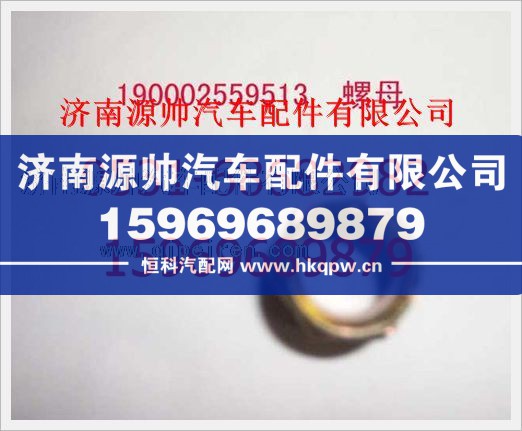 重汽豪沃联管螺母190003559513