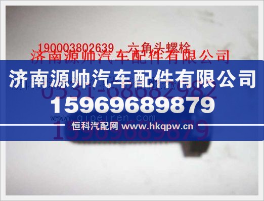 重汽豪沃六角头螺栓190003802639