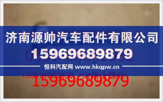 重汽豪沃六角头螺栓190011260039
