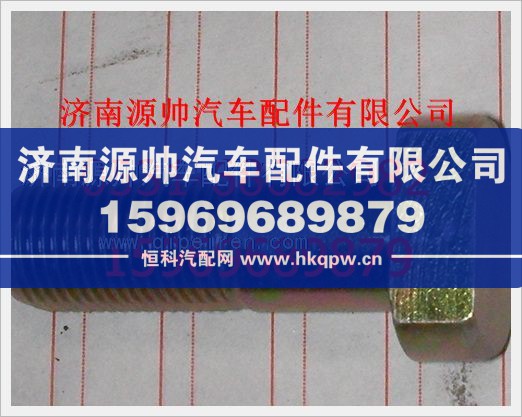 重汽豪沃六角头螺栓WG9000310049