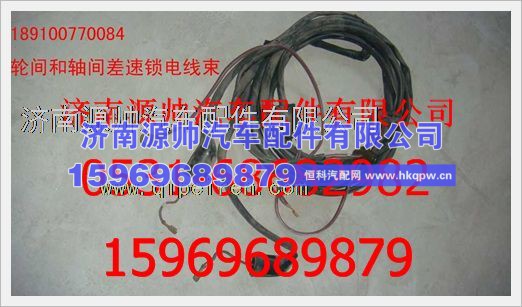 重汽豪沃轮差和轴差电线束189100770084