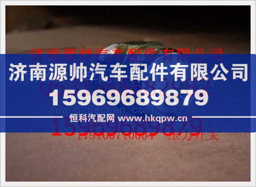 重汽豪沃氣壓信號燈開關(guān)WG9100710004