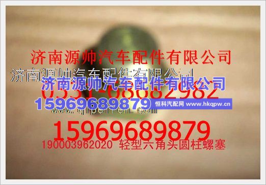 重汽豪沃轻型六角头园柱螺塞190003962020