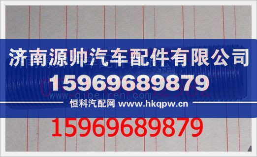重汽豪沃双头螺栓WG880 410060