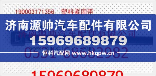 重汽豪沃塑料緊固帶190003171356