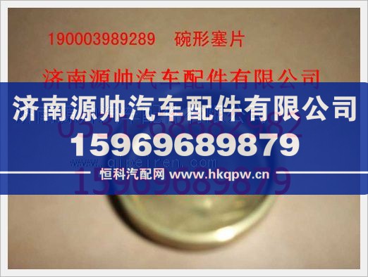 重汽豪沃碗形塞190003989289