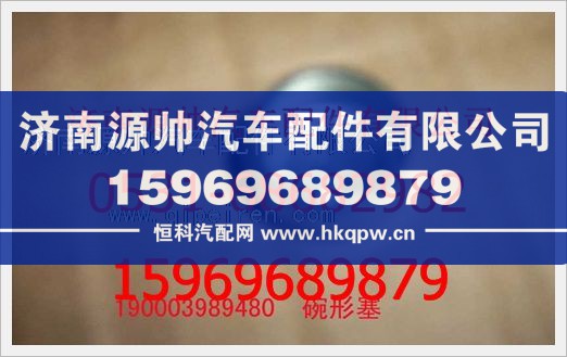 重汽豪沃碗形塞190003989480