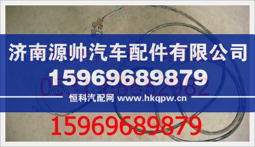 重汽豪沃左后灯电线(自卸车)189100770042