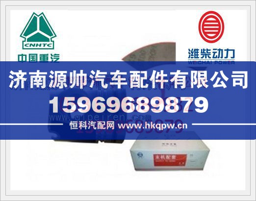 濰柴D10發(fā)動機(jī)發(fā)動機(jī)活塞612600030015