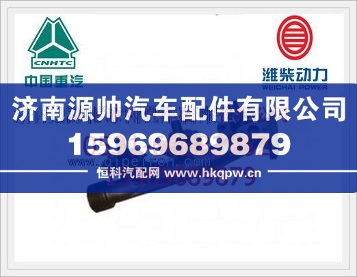 濰柴P10后排氣歧管612600113067