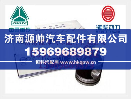 濰柴WD12發(fā)動(dòng)機(jī)活塞612600030010