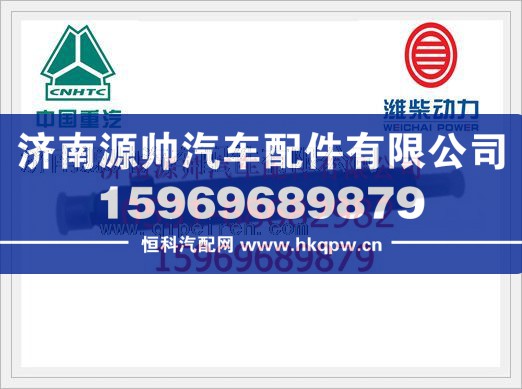 潍柴WD615发动机喷油器总成61560080305