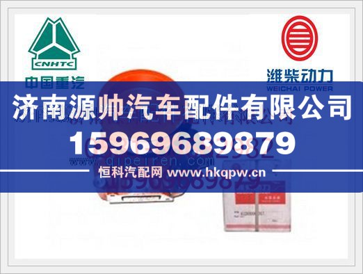 濰柴WD615發(fā)動機水泵612600060307