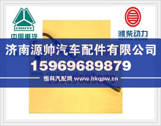濰柴WP10發(fā)動機高壓油管612600080637