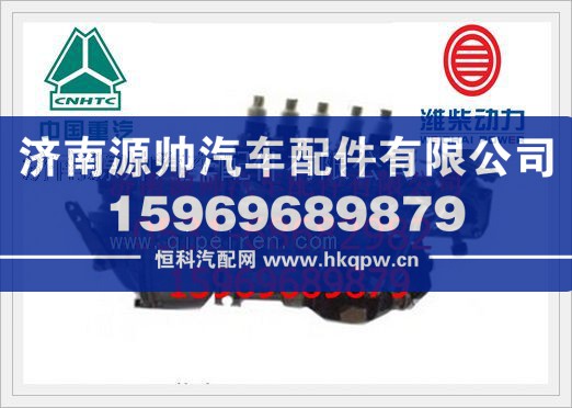 濰柴WP10發(fā)動機(jī)共軌噴油泵612600080674