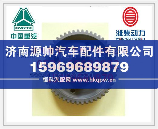 濰柴WP10發(fā)動(dòng)機(jī)噴油泵齒輪612600081529