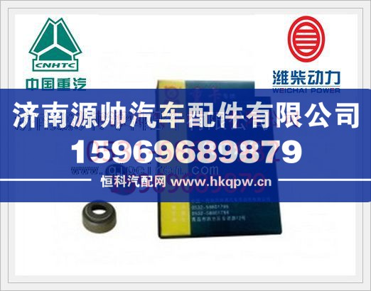 濰柴WP10歐Ⅱ氣門油封612600040114