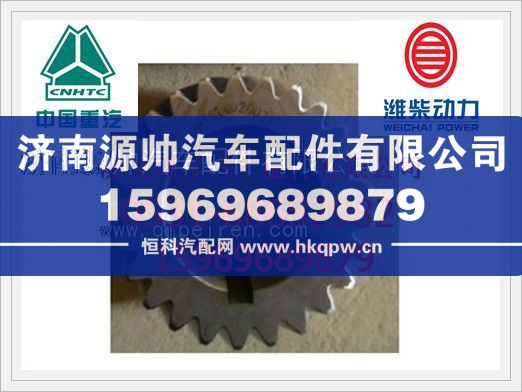 濰柴WP12發(fā)動(dòng)機(jī)曲軸齒輪614020038