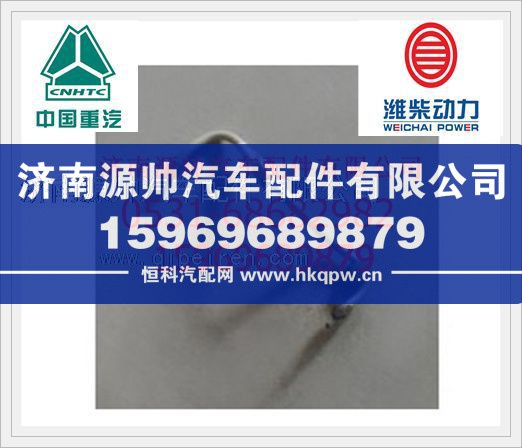 濰柴WP12高壓油管組612630080036