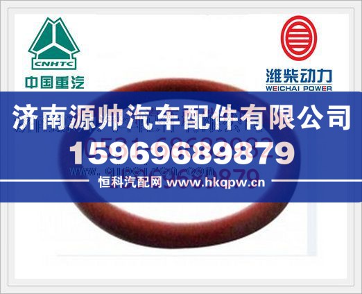 濰柴WP12噴油泵法蘭用O型密封圈612630030044