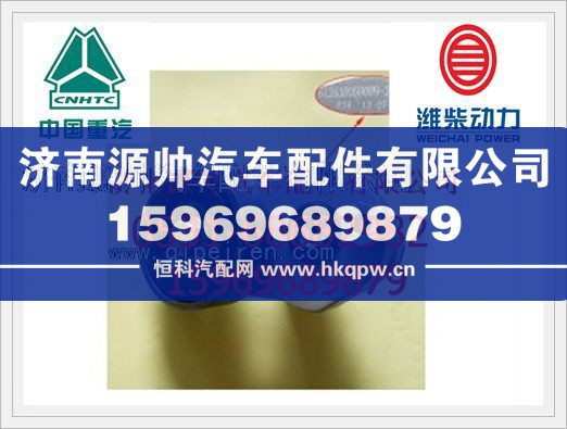 潍柴WP12自动涨紧轮612630060009