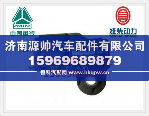 濰柴博士壓力與溫度傳感器BS0281002576
