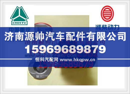 濰柴發(fā)動機(jī)活塞(一組6個)612600030047