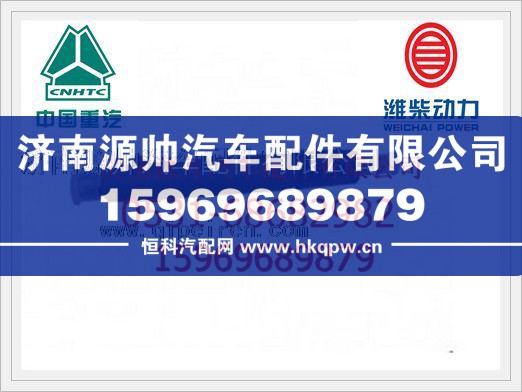 潍柴发动机喷油器总成61560080276