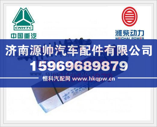 潍柴发动机曲轴(锻钢)61800020022