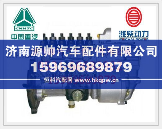 濰柴噴油泵612601080606