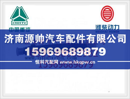潍柴喷油器总成61560080276