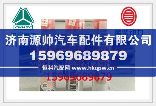 潍柴喷油嘴F019 121 217