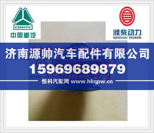 重汽75度节温器芯VG1500061206