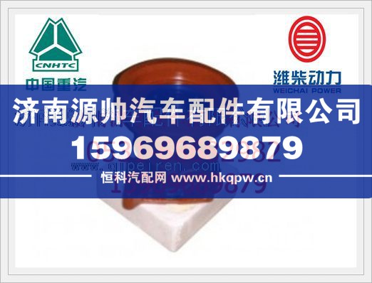 重汽D10发动机水泵VG1500060051