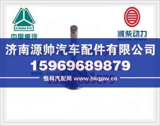 重汽D12發(fā)動(dòng)機(jī)進(jìn)氣門VG1560051001