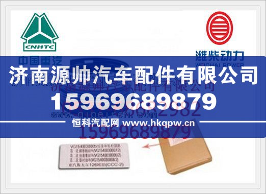 重汽D12活塞环VG1540030005