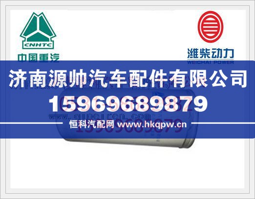重汽WD615發(fā)動機柴油濾清器VG1560080012