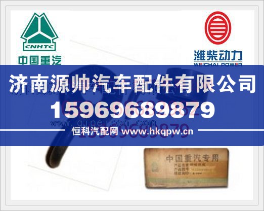 重汽WD615发动机喷嘴组件VG1560019090/2