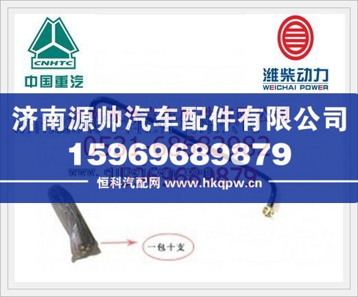 重汽WD615发动机燃油管（长）VG1560080018