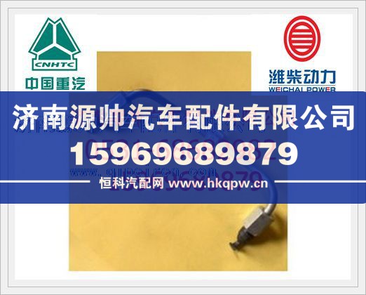 重汽WD615四气门共轨发动机高压油管组件（一）VG1540089093