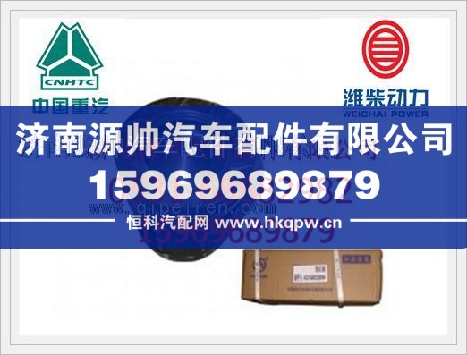 重汽發(fā)動機活塞（一組6個）VG1560030010